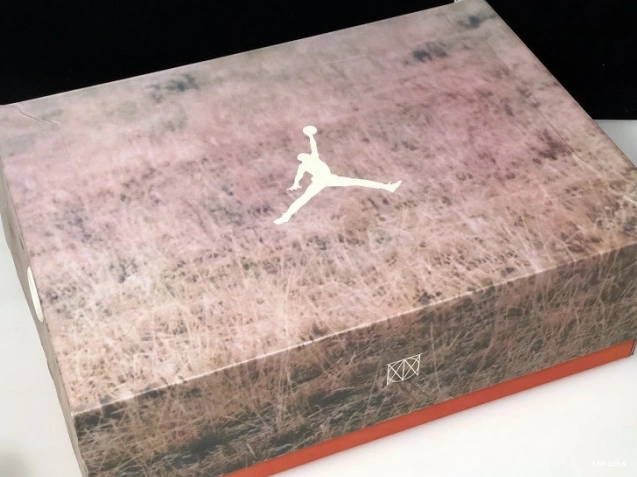Reps TB JTH Beige 3 Air AV6683-200 Bio Jordan 0816